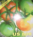 US 800/यूएस ८०० Tomato (US Agri Seeds) - Farmers Stop