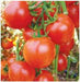 US 04/यूएस ०४ Tomato (US Agri Seeds) - Farmers Stop