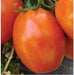 US 3380/यूएस ३३८० Tomato (US Agri Seeds) - Farmers Stop