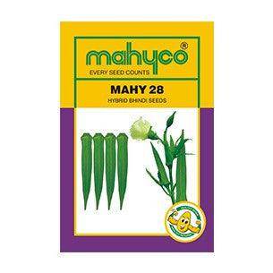 MAHY 28/माही २८ भिंडी/Okra (Mahyco) - Farmers Stop