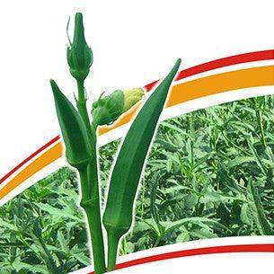 MAHY 64 भिंडी/Okra (Mahyco) - Farmers Stop