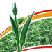 MAHY 64 भिंडी/Okra (Mahyco) - Farmers Stop