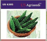 US 6205/यूएस ६२०५ Bittergourd (US Agri Seeds) - Farmers Stop