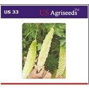 US 33/यूएस ३३ Bittergourd (US Agri Seeds) - Farmers Stop
