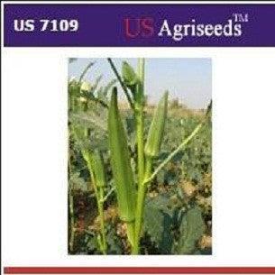 US 7109/यूएस ७१०९ भिंडी/Okra (US Agri Seeds) - Farmers Stop