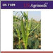 US 7109/यूएस ७१०९ भिंडी/Okra (US Agri Seeds) - Farmers Stop