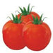 Abhilash/अभिलाष F1 HYBRID Tomato (Seminis) - Farmers Stop