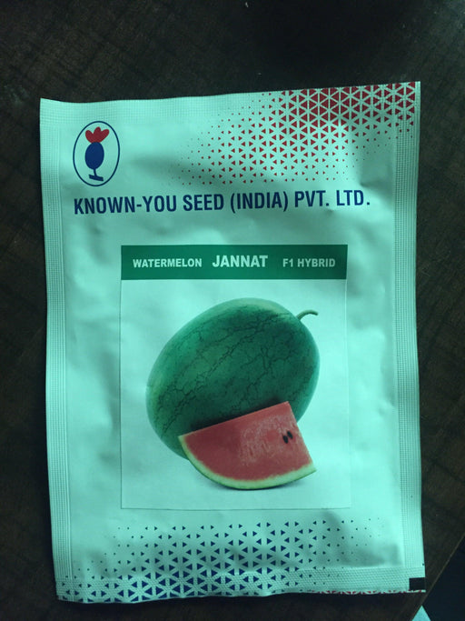 Jannat/जन्नत Hybrid Watermelon - Red Flesh (Known You Seeds) - Farmers Stop