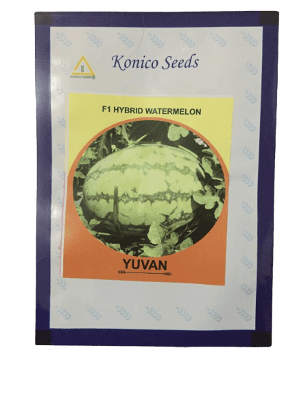 Yuvan/युवान Hybrid F1 Watermelon (Konico Seeds) - Farmers Stop
