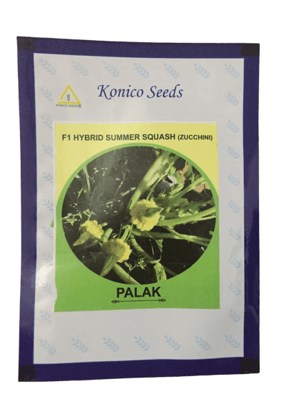 Palak/पलक F1 Hybrid Scalloped Squash-Patty Pan (Konico Seeds) - Farmers Stop