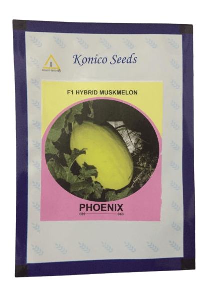 Phoenix/फोनिक्स F1 Hybrid Yellow Muskmelon (Konico Seeds) - Farmers Stop
