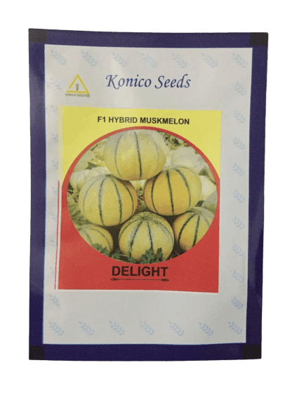 Delight/डिलाइट F1 Hybrid Muskmelon (Konico Seeds) - Farmers Stop