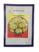 Delight/डिलाइट F1 Hybrid Muskmelon (Konico Seeds) - Farmers Stop