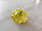Palak/पलक F1 Hybrid Scalloped Squash-Patty Pan (Konico Seeds) - Farmers Stop