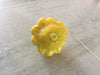 Palak/पलक  F1 Hybrid  Scalloped Squash-Patty Pan (Konico Seeds) - Farmers Stop