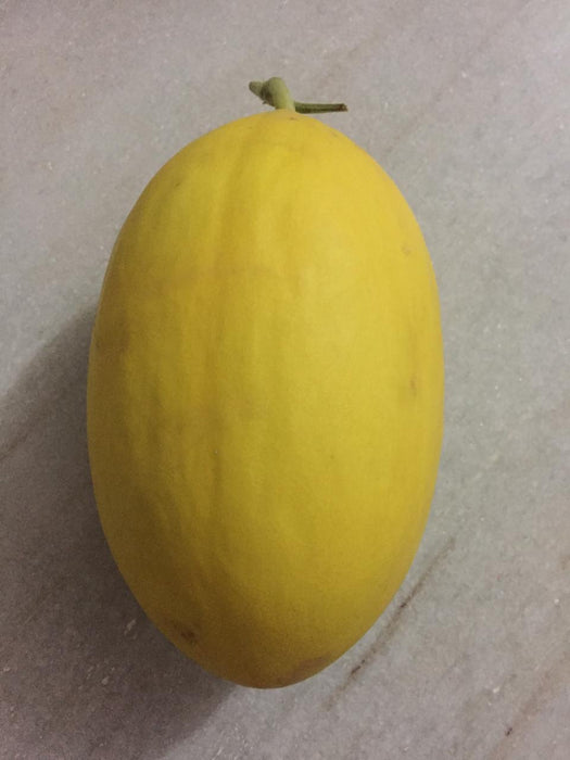 Phoenix/फोनिक्स F1 Hybrid Yellow Muskmelon (Konico Seeds) - Farmers Stop