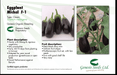Michal/माइकल Parthenocarpic Eggplant (Genesis Seeds, Isreal)  - No Cash on Delivery - Farmers Stop