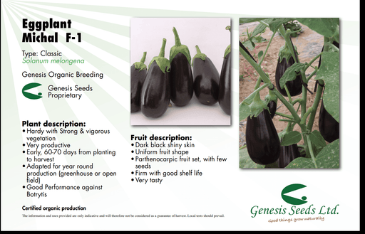Michal/माइकल Parthenocarpic Eggplant (Genesis Seeds, Isreal)  - No Cash on Delivery - Farmers Stop