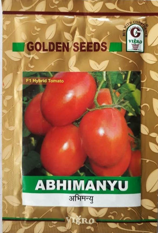 Abhimanyu/अभिमन्यु F1 Hybrid Tomato (Golden Seeds) - Farmers Stop