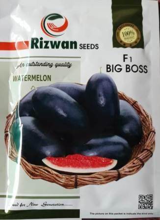 Big Boss/बिग बॉस F1 Hybrid Watermelon (Rizwan Seeds) - Farmers Stop