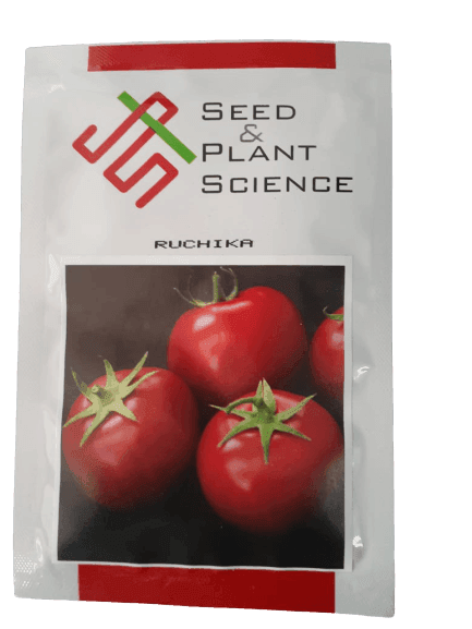Ruchika F1 Hybrid Tomato (Seed & Plant Science) - Farmers Stop