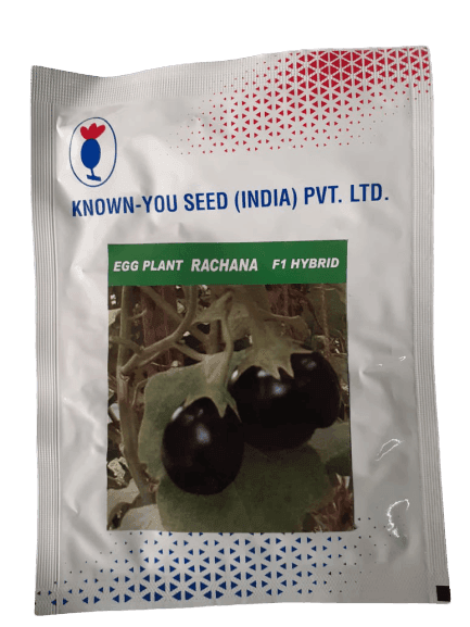 Rachana Hybrid F1 Eggplant (Known You Seeds) - Farmers Stop