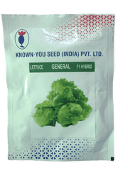 Lettuce General F1 Hybrid (Known you seeds) - Farmers Stop