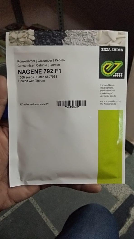 Nagene F1 Cucumber Seeds (Enza Zaden) - Farmers Stop