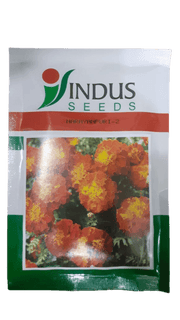 Narayanpuri - 2 French Marigold (Indus Seeds) - Farmers Stop