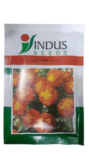 Narayanpuri - 2 French Marigold (Indus Seeds) - Farmers Stop