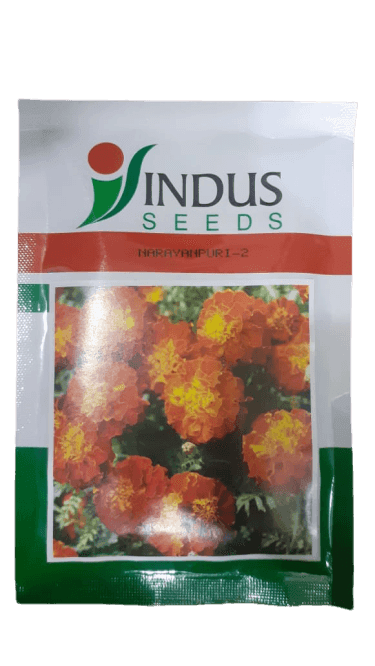 Narayanpuri - 2 French Marigold (Indus Seeds) - Farmers Stop