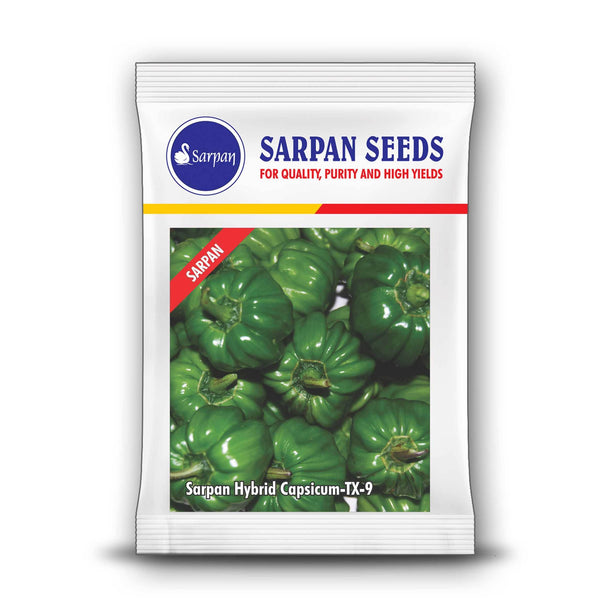 Sarpan TX-9 Hybrid Capsicum (Sarpan Seeds) - Farmers Stop