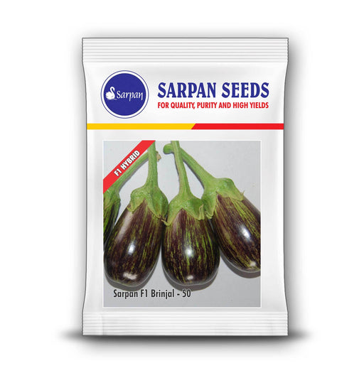Brinjal -50 F1 Hybrid Brinjal/Eggplant (Sarpan Seeds) - Farmers Stop