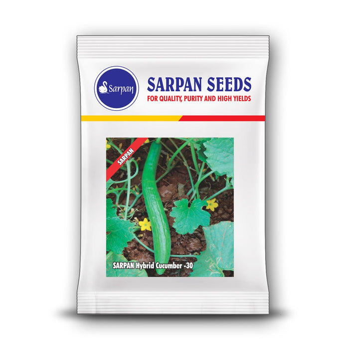Cucumber -30 F1 Hybrid Cucumber (Sarpan Seeds) - Farmers Stop