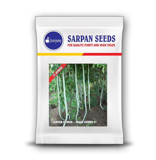 Snake gourd-21 F1 Hybrid Snake gourd (Sarpan Seeds) - Farmers Stop