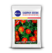 SFR-5 French Marigold (Sarpan Seeds) - Farmers Stop