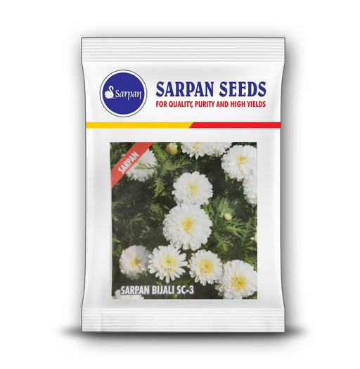 SC-3-White Hybrid Bijali  (Sarpan Seeds) - Farmers Stop