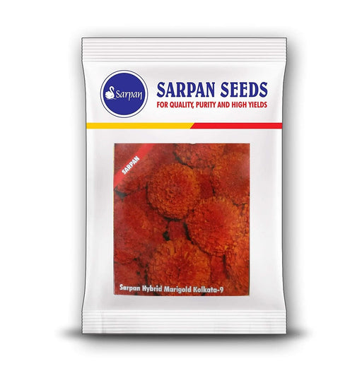 SAF 11/33 Kolkata (Tennis Ball Type) Marigold (Sarpan Seeds) - Farmers Stop