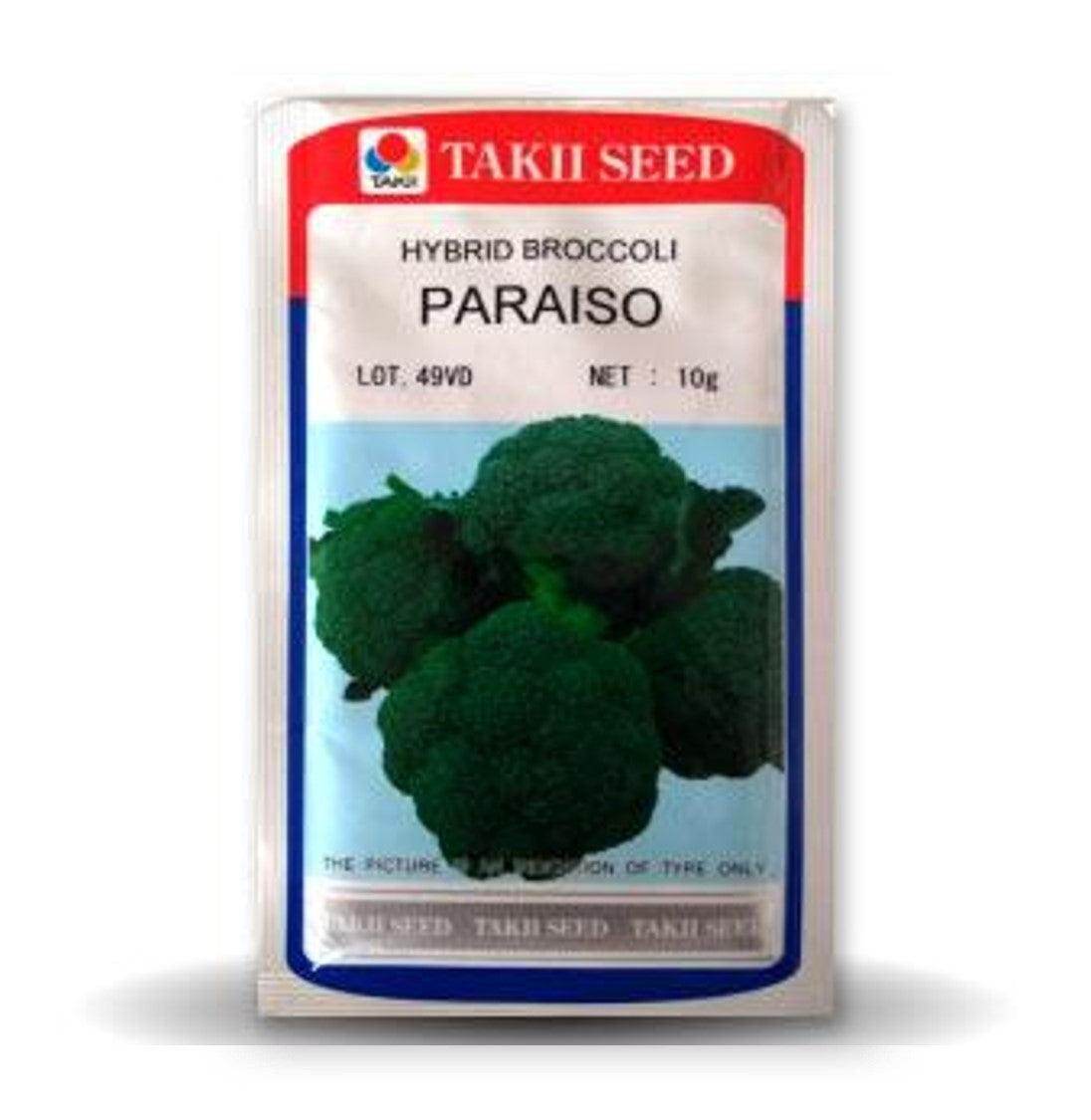 Winter Broccoli Seeds Online in India | Farmers Stop