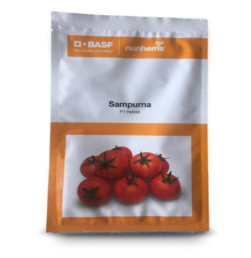Sampurna/सम्पूर्णा F1 Hybrid Tomato (BASF | Nunhems) - Farmers Stop