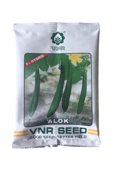 Alok/अलोक F1 Hybrid Sponge Gourd (VNR Seeds) - Farmers Stop