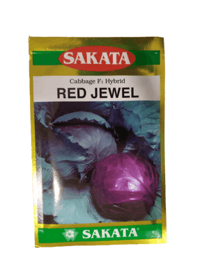 Red Jewel F1 Hybrid Cabbage (Sakata) - Farmers Stop
