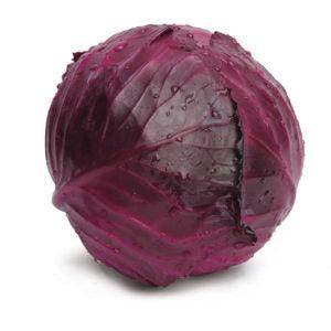 Red Jewel F1 Hybrid Cabbage (Sakata) - Farmers Stop
