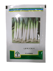 Limcoln Leek Spring cut Bunching Onion (Kalash Seeds) - Farmers Stop