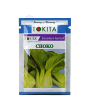 Choko Pakchoi F1 Hybrid (Tokita Seeds) - Farmers Stop