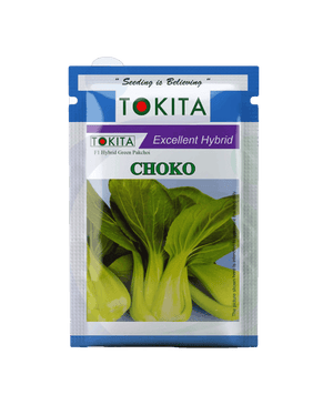 Choko Pakchoi F1 Hybrid (Tokita Seeds) - Farmers Stop