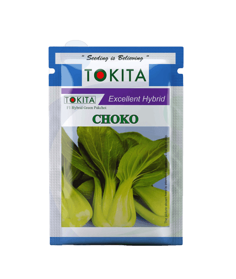 Choko Pakchoi F1 Hybrid (Tokita Seeds) - Farmers Stop