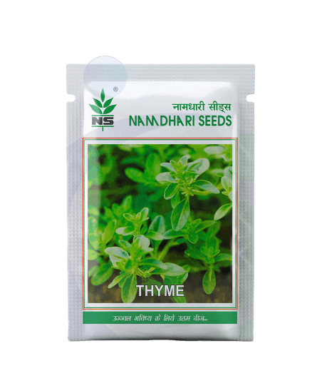 Thyme Exotic Herb (Naamdhari Seeds) - Farmers Stop