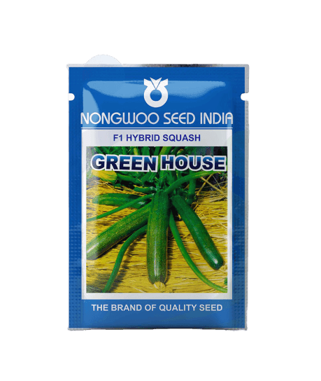 Green House F1 Hybrid Green Zucchini (Nongwoo Seed India) - Farmers Stop