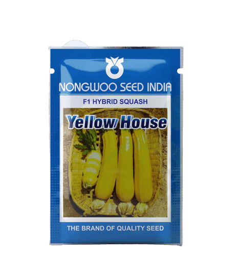 Yellow House House F1 Hybrid Zucchini (Nongwoo Seed India) - Farmers Stop